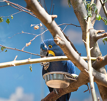 甜蜜的网页在线DDOS压力测试