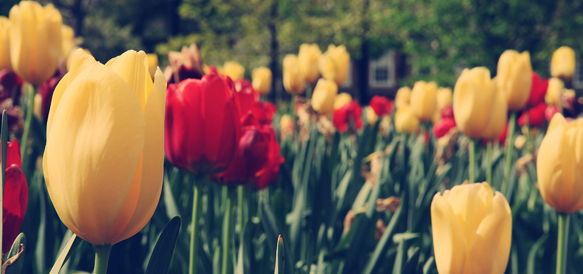 网站ddos隐藏源ip